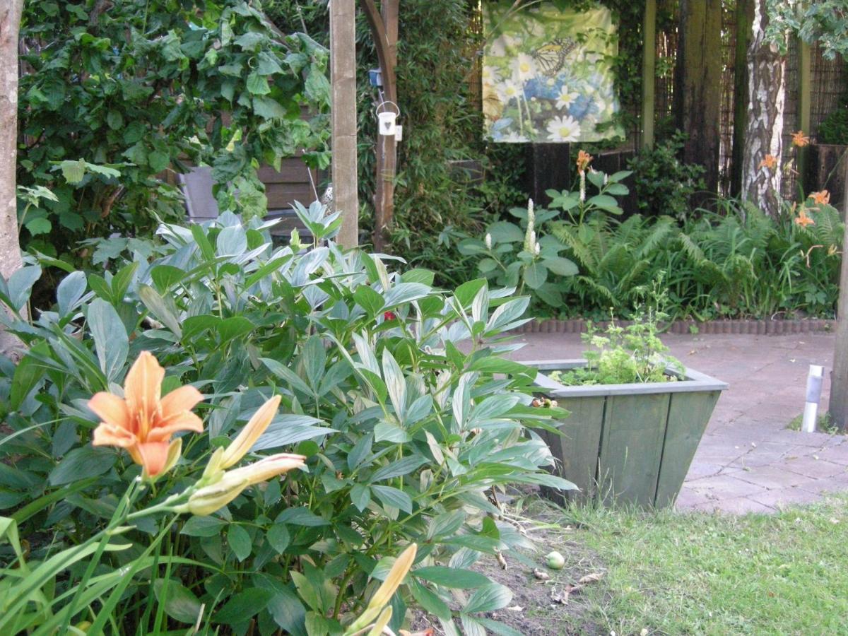 هاردنبيرخ B&B Overnachting De Margriet المظهر الخارجي الصورة